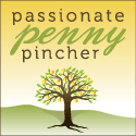 Passionate Penny Pincher: Blogging for Good
