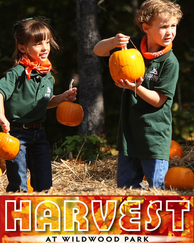 Local Deal: $10 for two tickets to Harvest! Fest