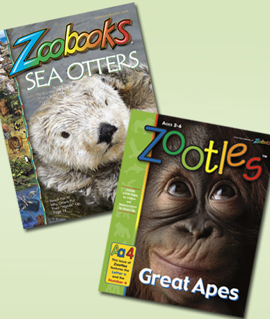 Mamasource: 58% of Zoobooks & Zootles