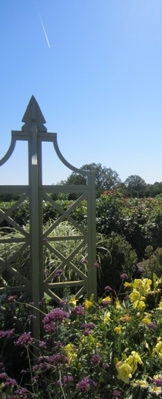 P. Allen Smith's Flower Garden at Moss Mountain