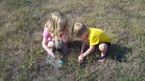 kids on a bug hunt