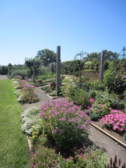 P Allen Smith garden