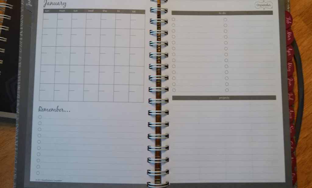 Organizher planner month view