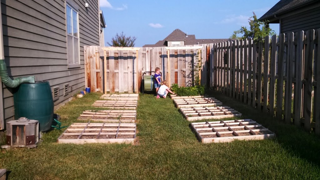 backyard square foot garden