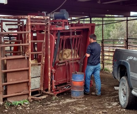 farm branding